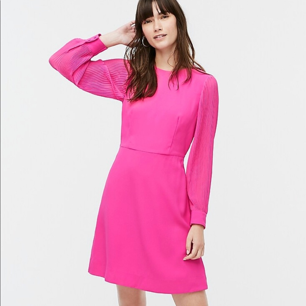 J.Crew Dress with Pleated Sleeves